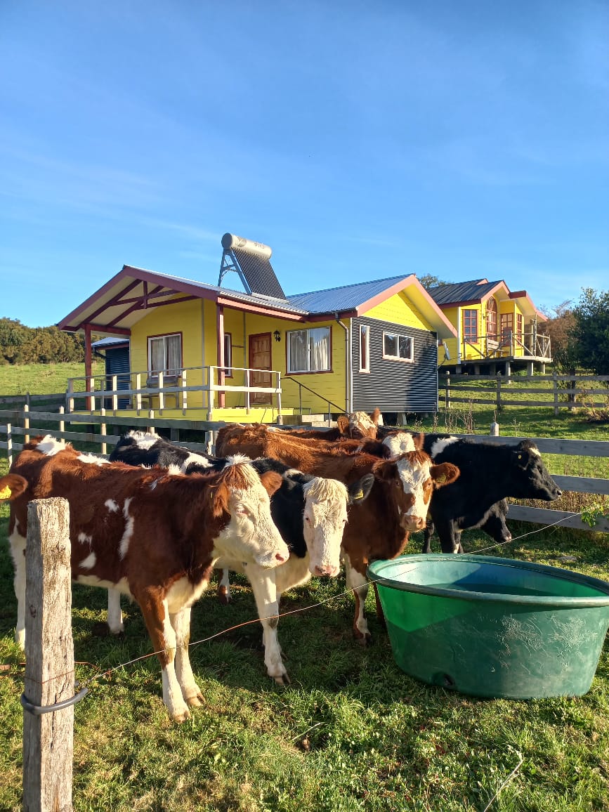 Agroturismo Coñico