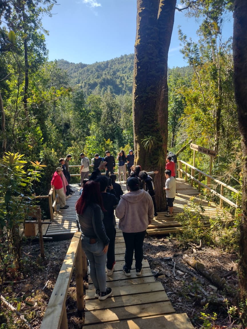RUTA DEL TRAUCO