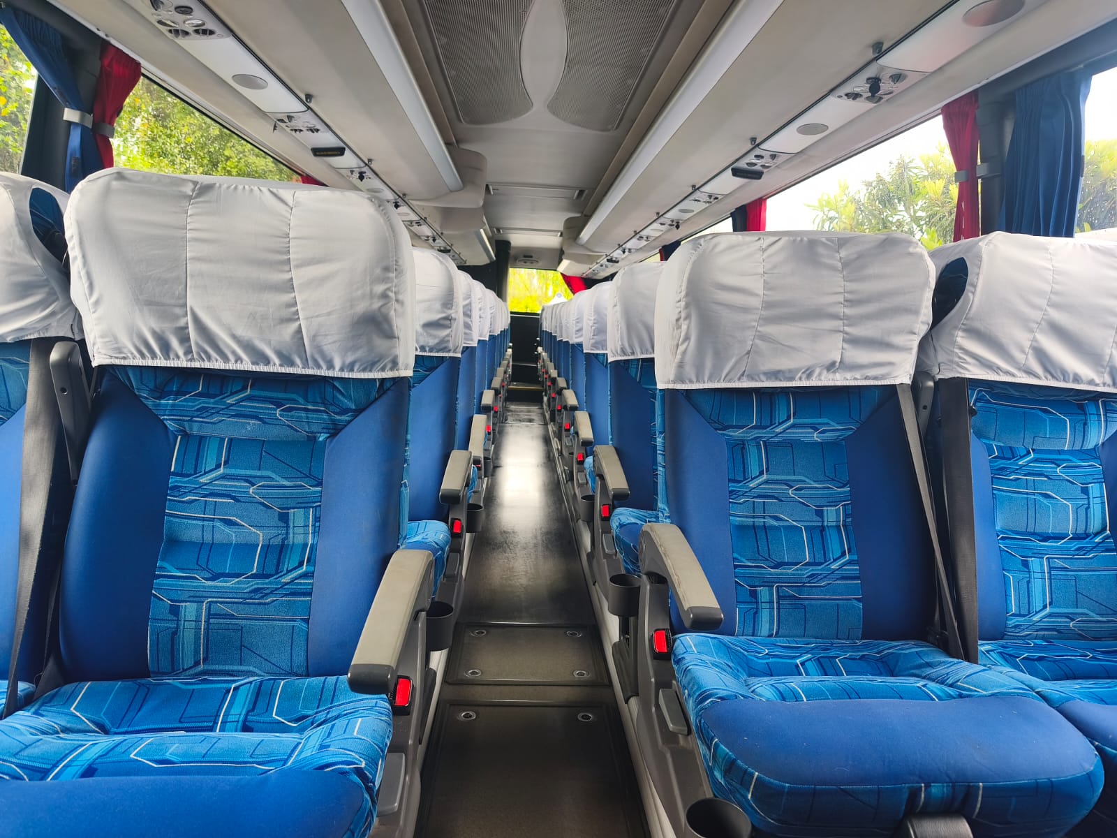 Buses Crisema
