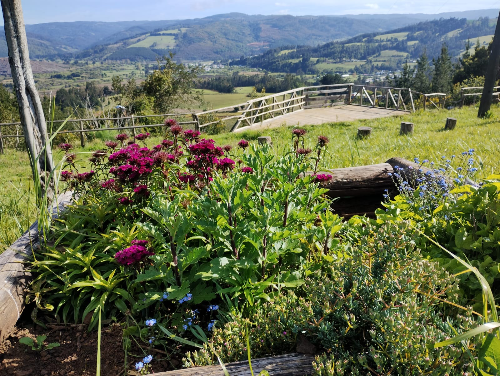 Mirador Nido del Cóndor