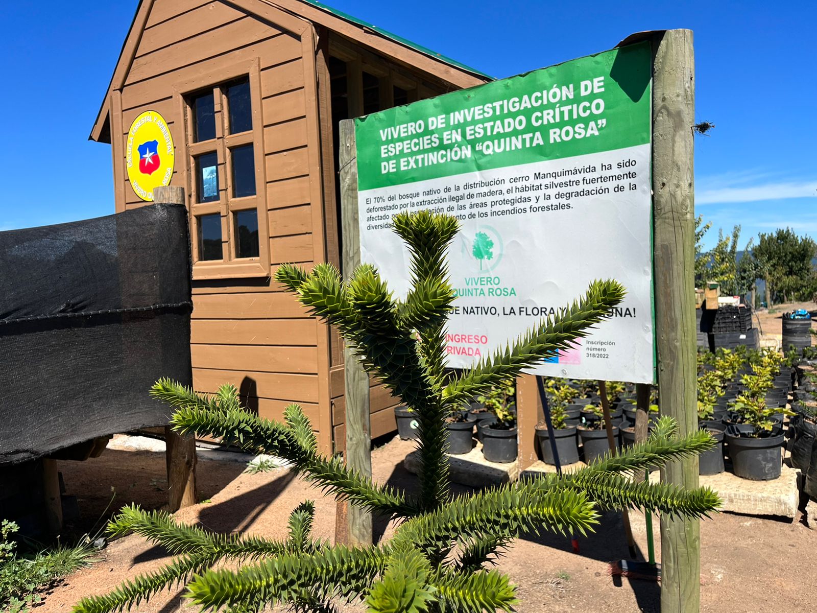 MUSEO BOTANICO QUINTA ROSA