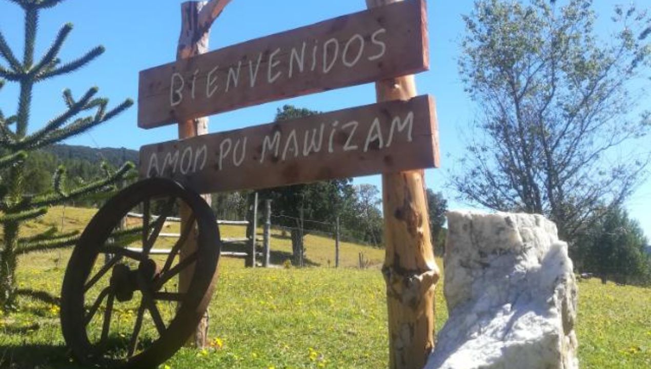Amonpumawizam