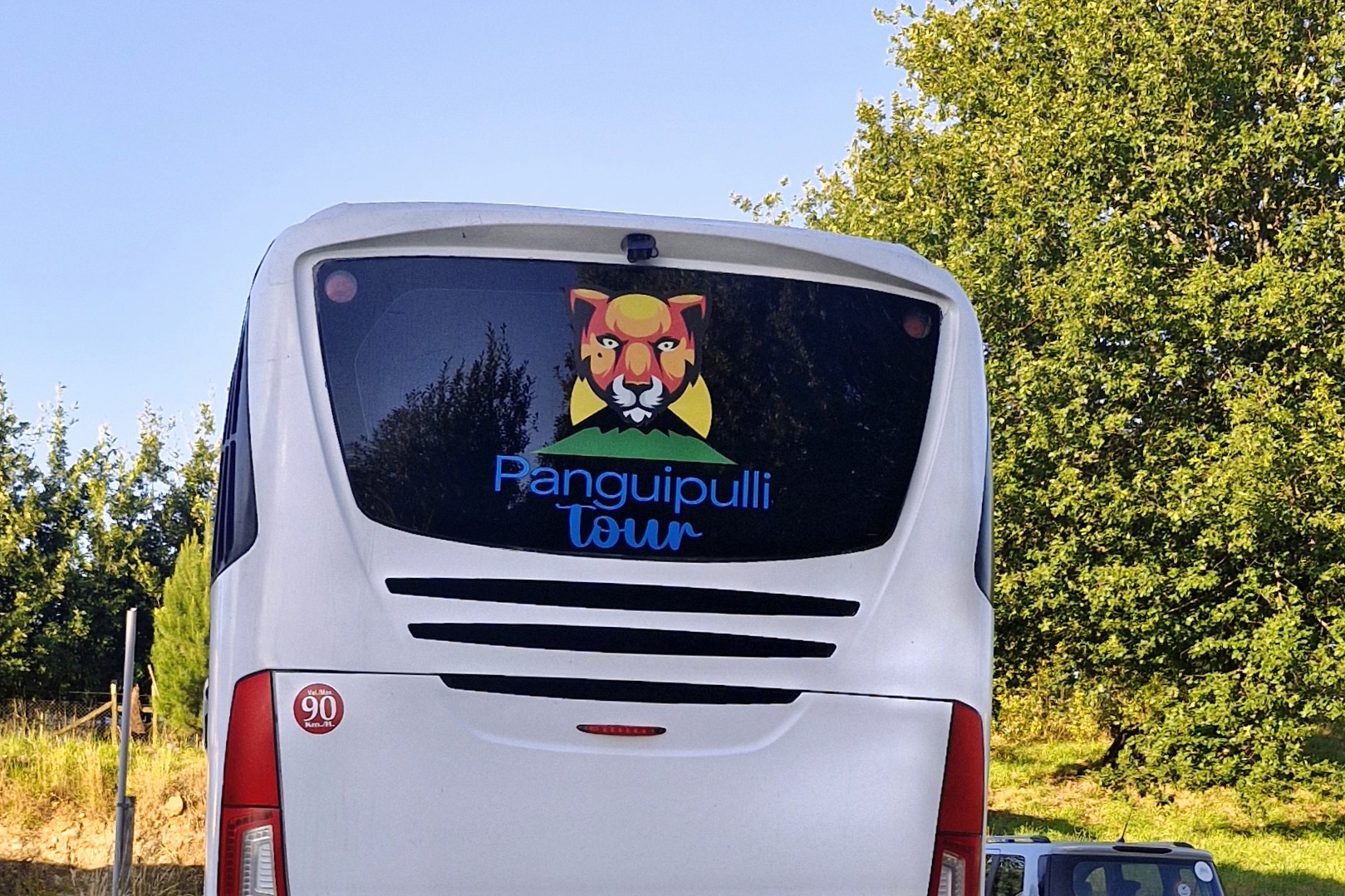 Panguipulli Tour Tierra de leones