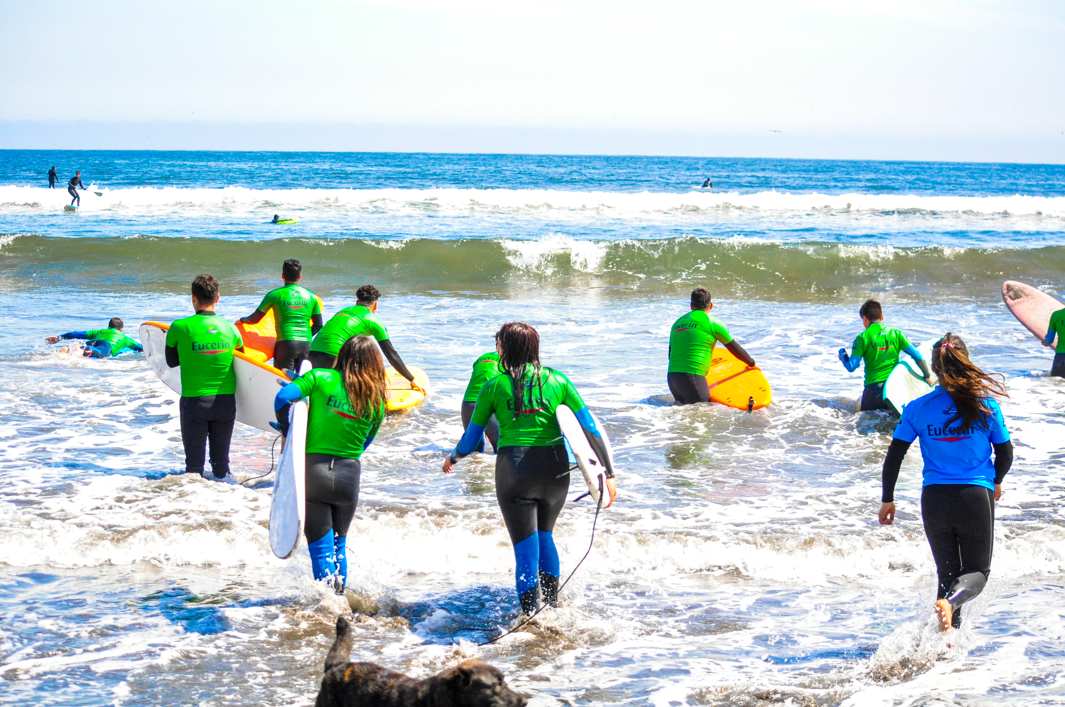 Academia de surf Freesport
