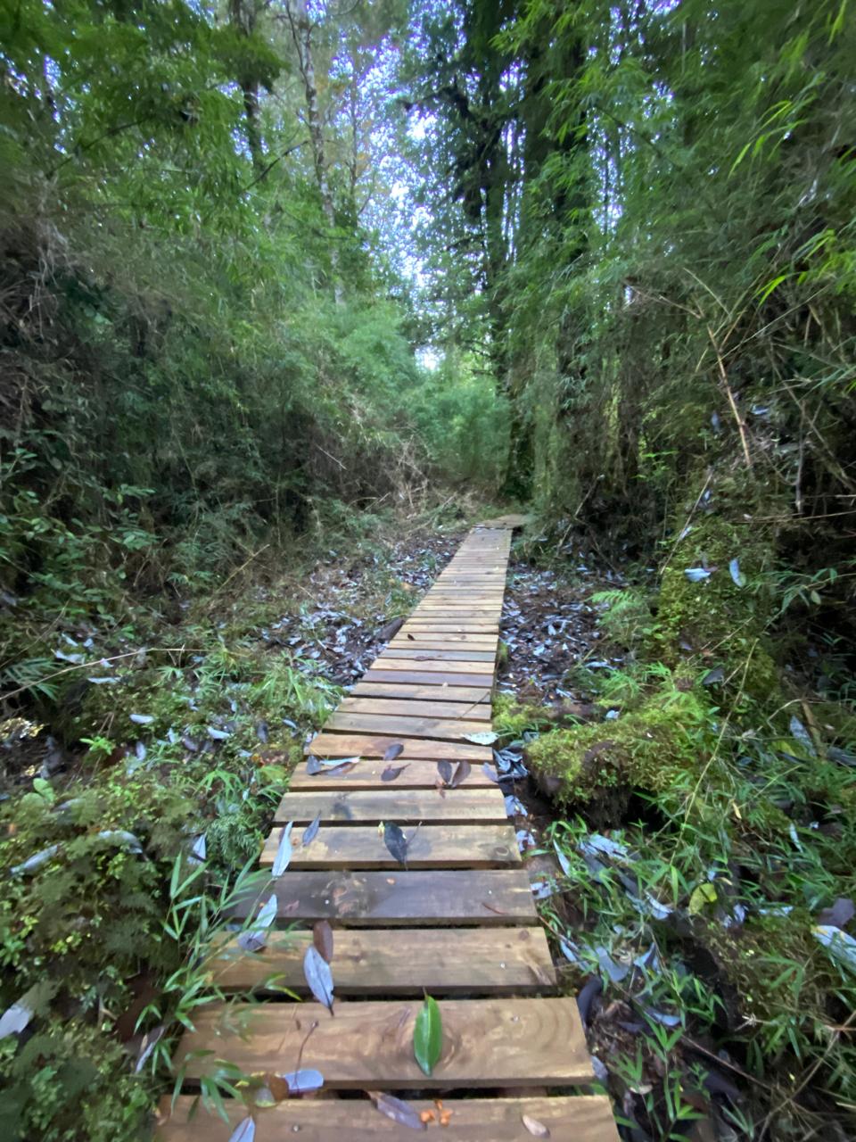 Austral View Ecoexperience