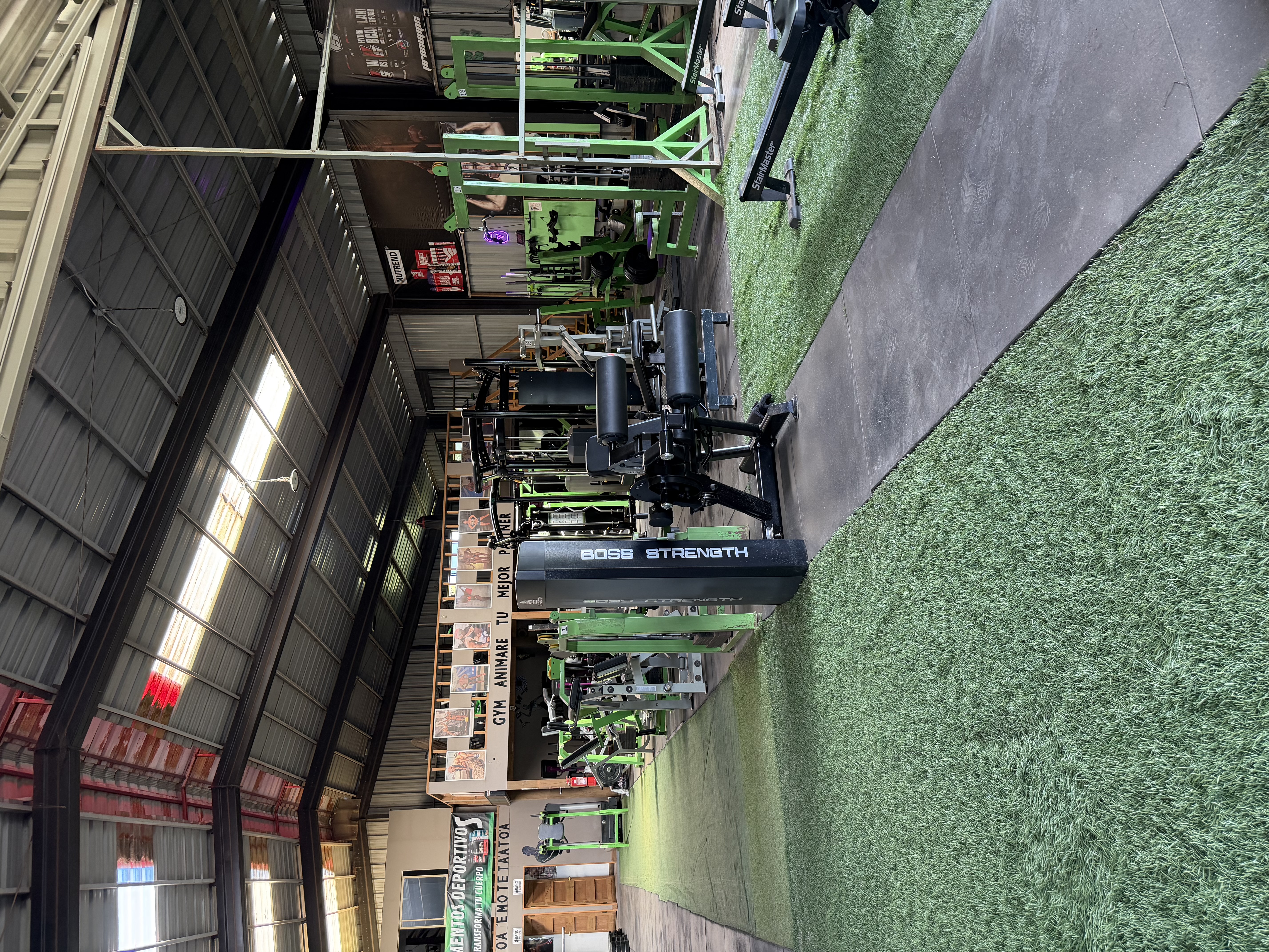 Gimnasio Animare
