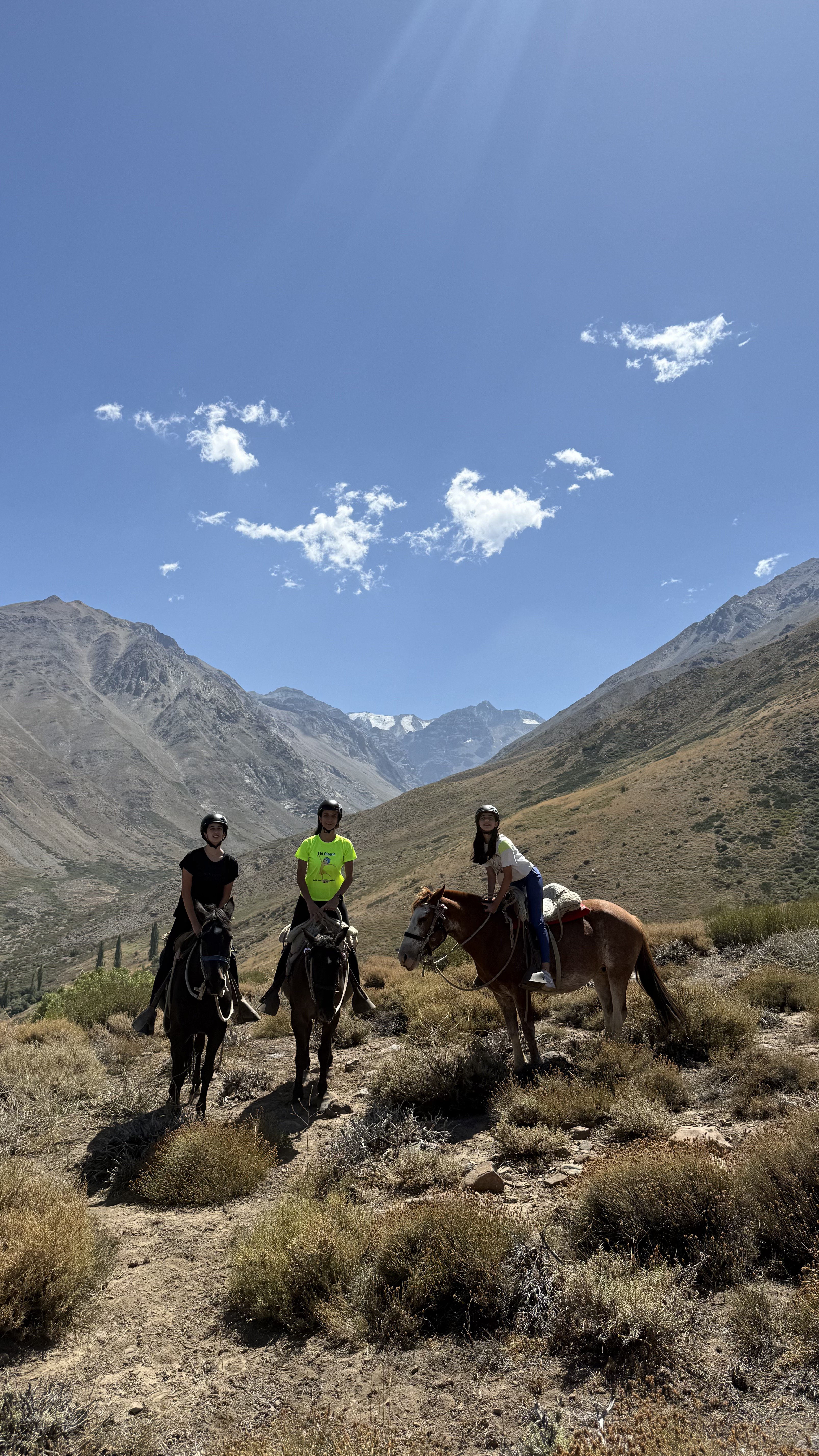 INDO PRO CHILE TURISMO LTDA