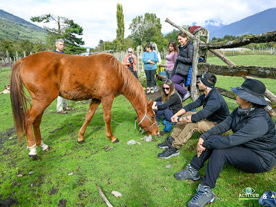 Akuda Coaching con caballos
