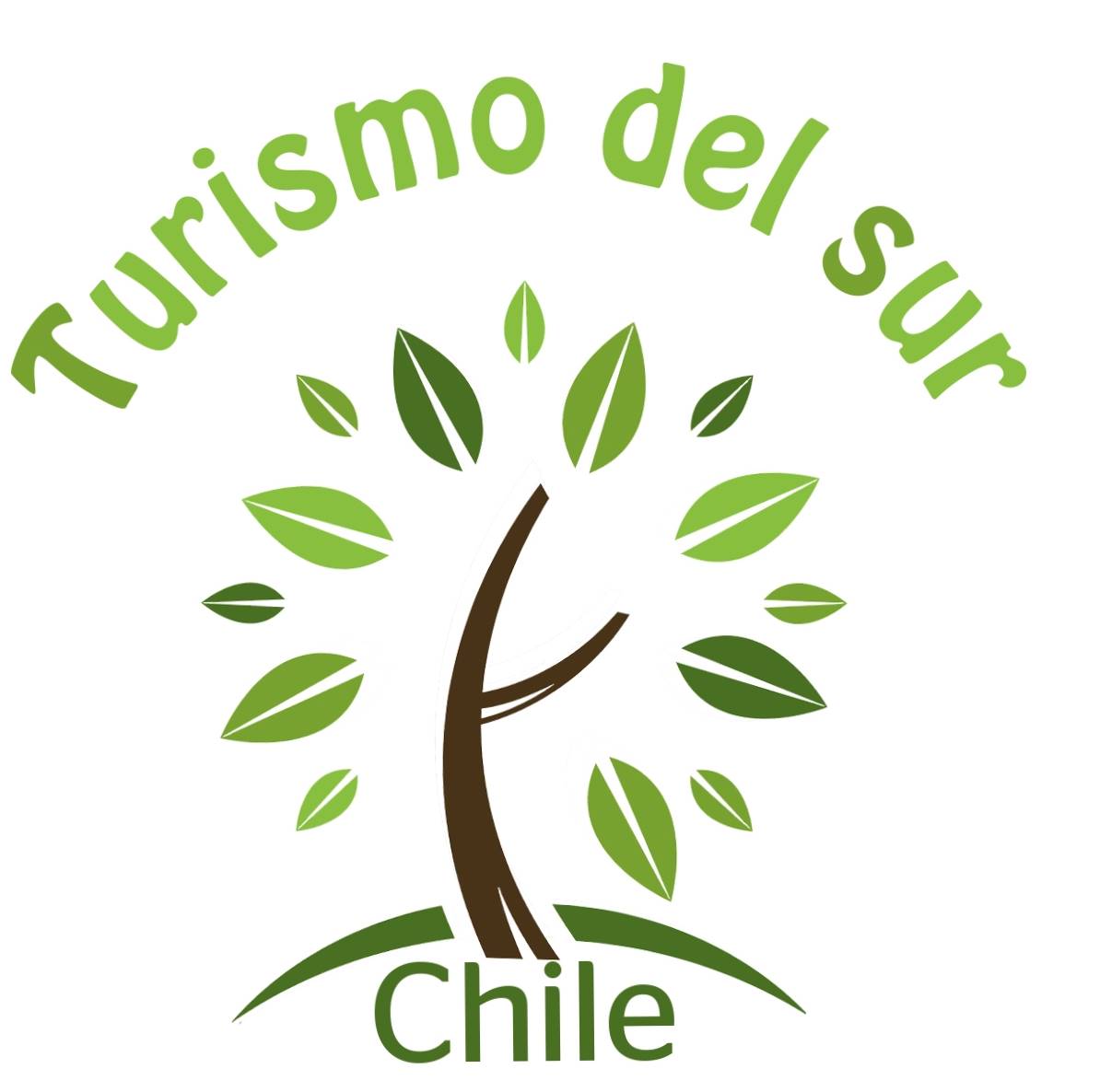 Turismo del Sur Chile SpA