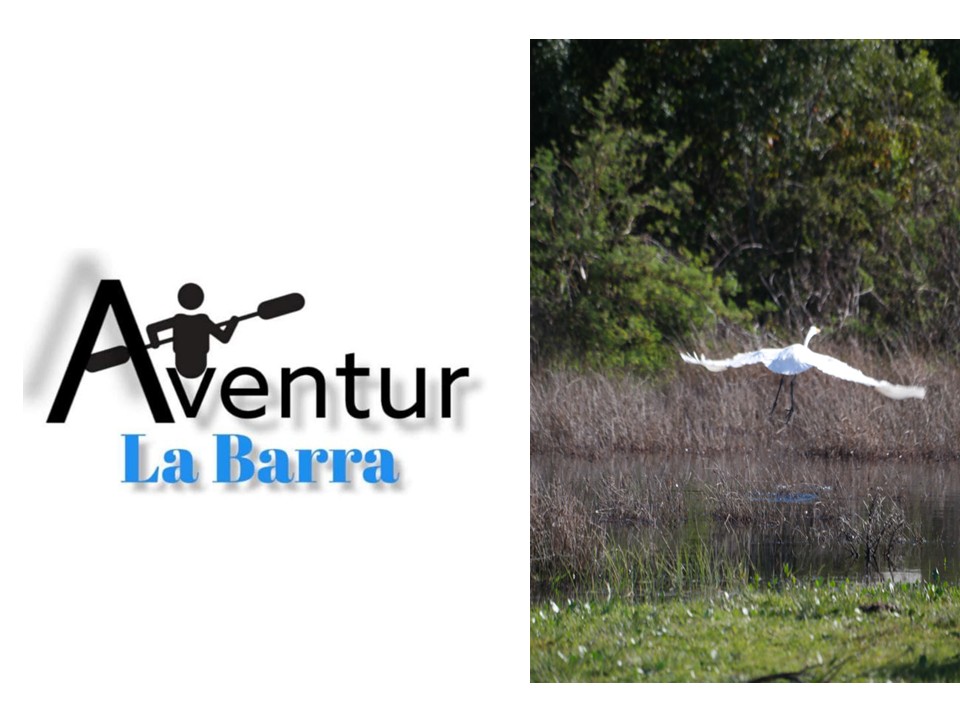 AVENTUR LA BARRA