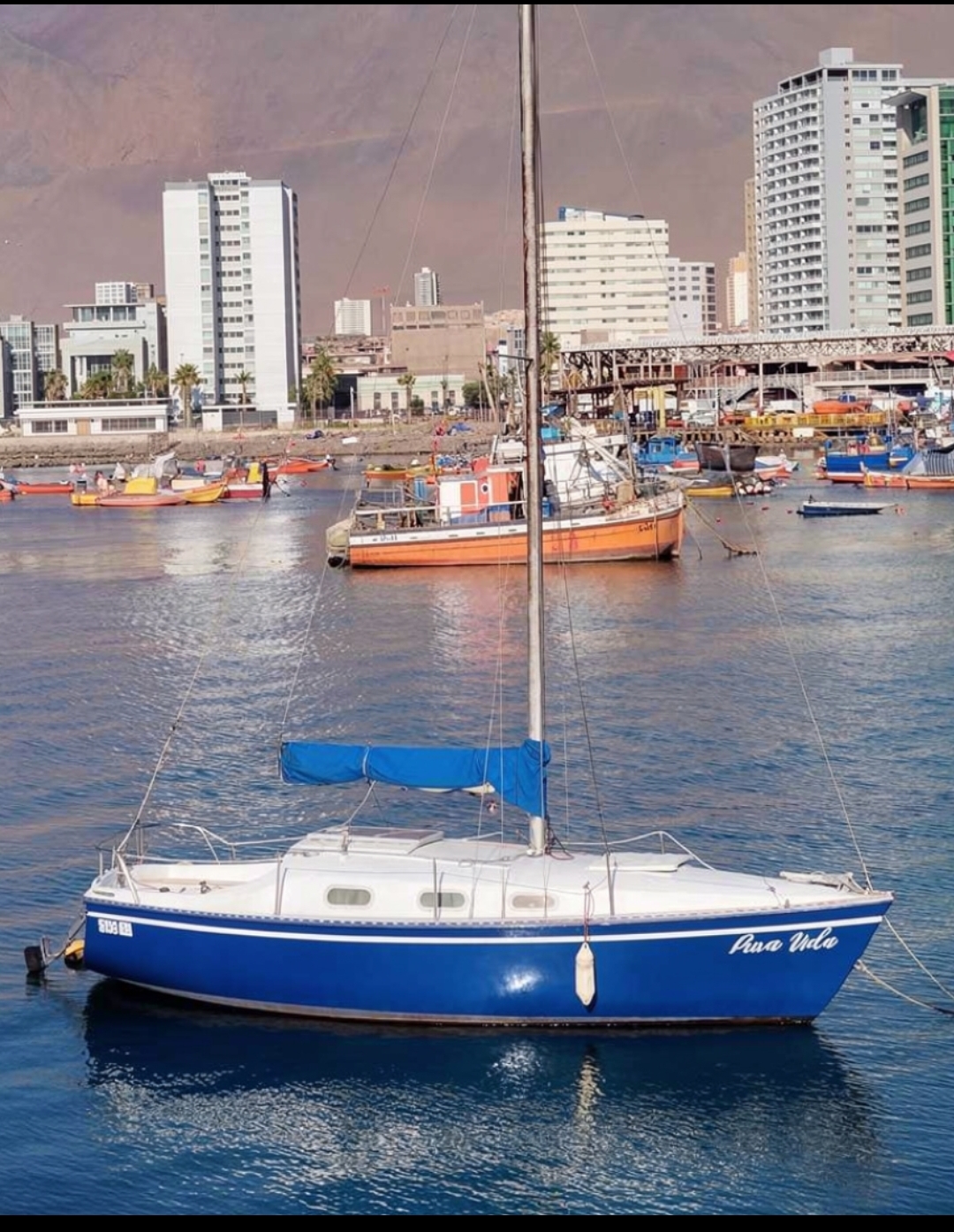 Velero Pura Vida