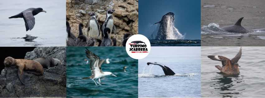 TURISMO BUENA AVENTURA MEJILLONES