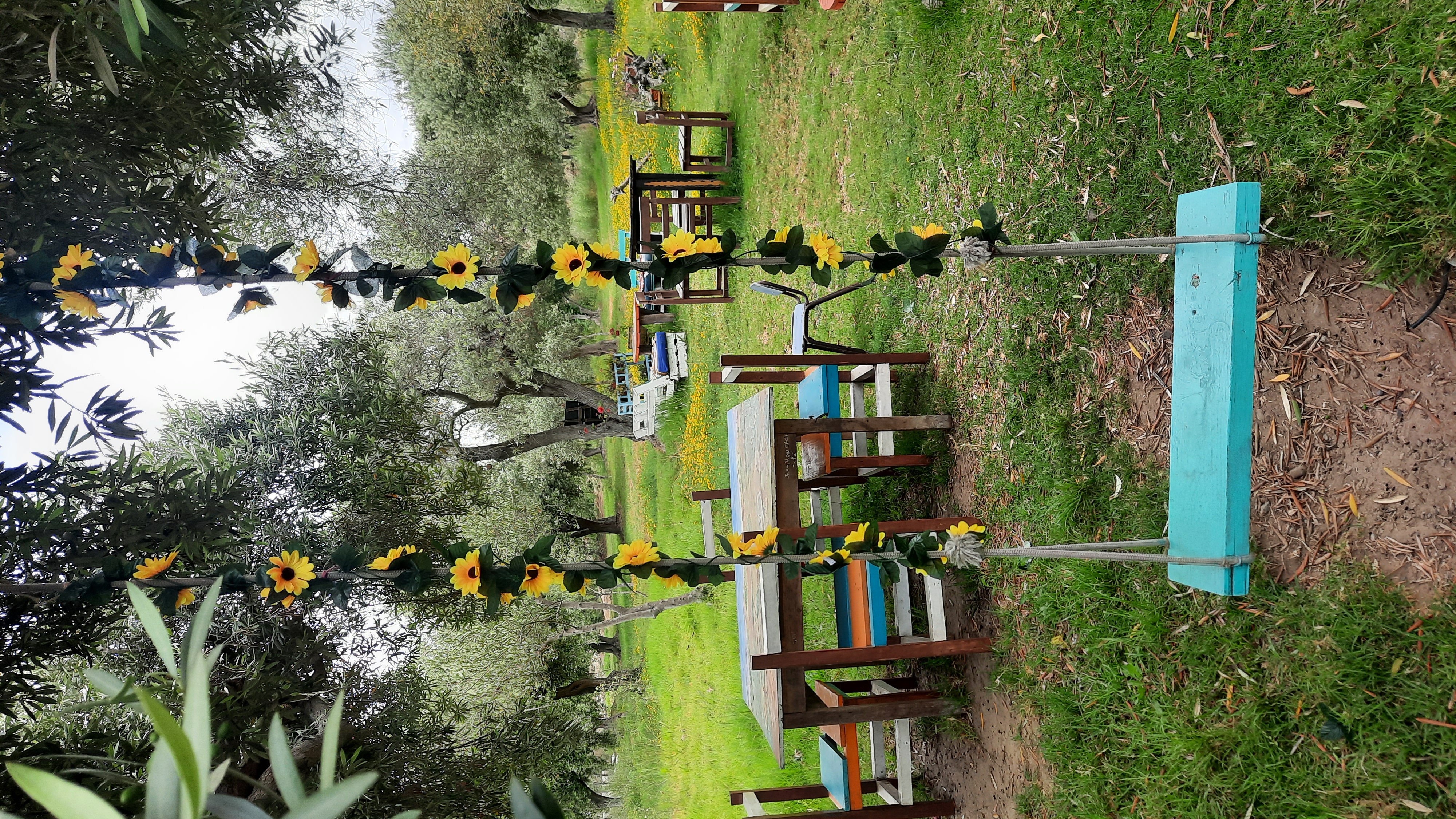 Entre Olivos