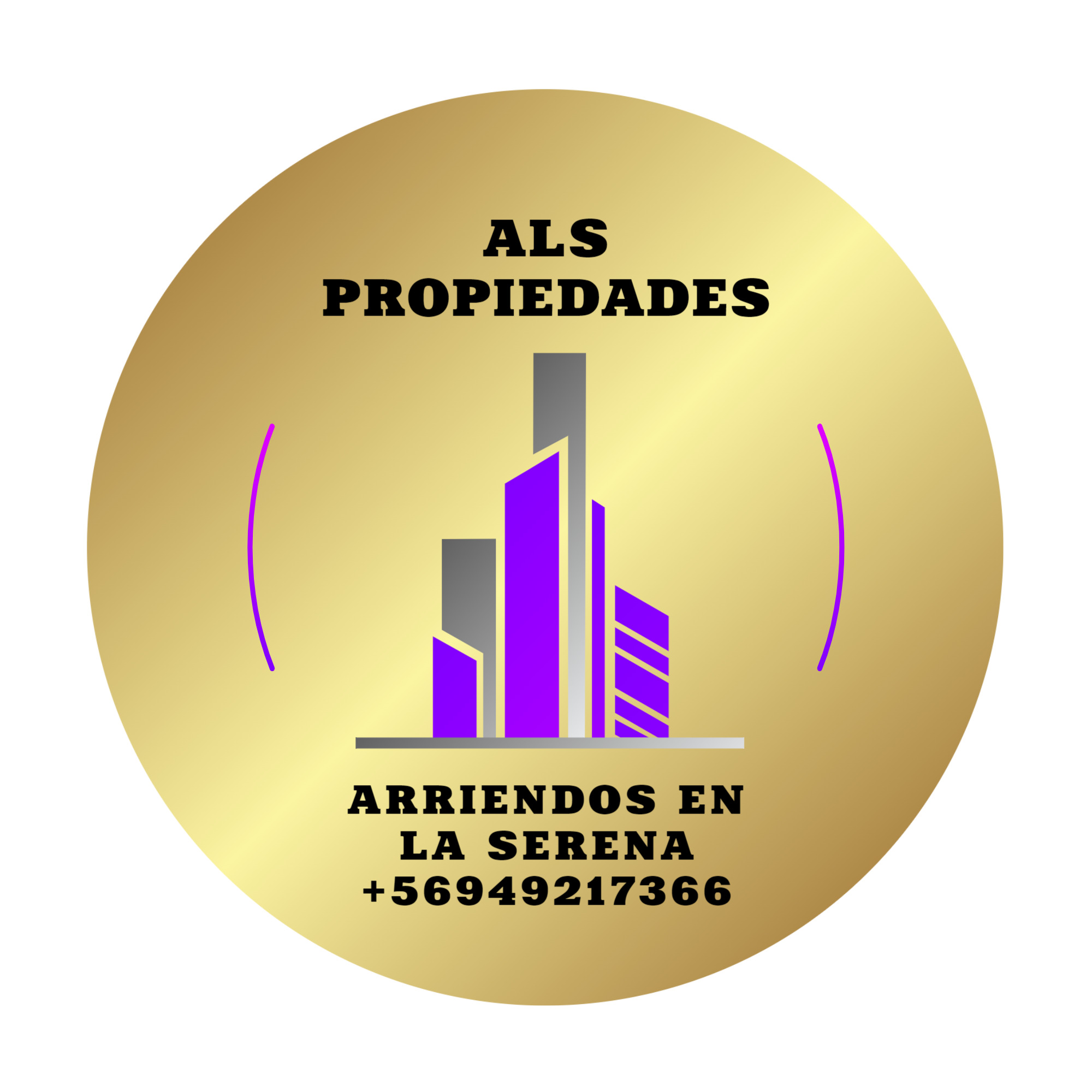 ALS Propiedades SpA