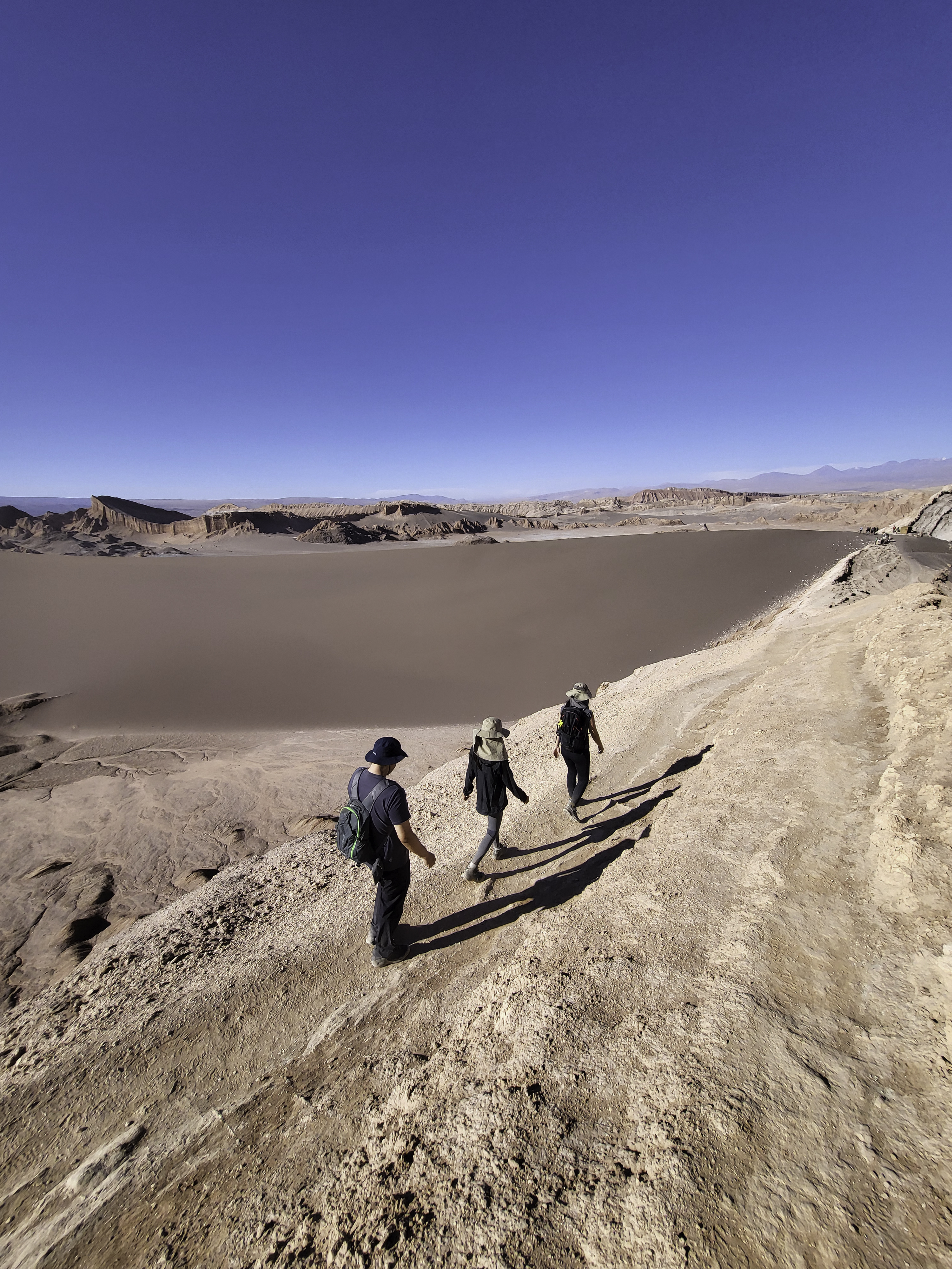Andes Desert
