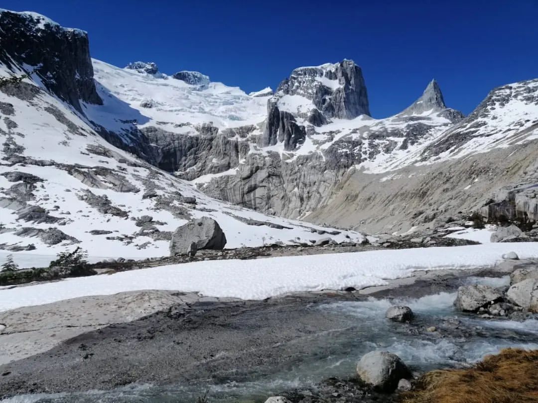 Guías del Avellano