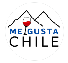 ME GUSTA CHILE SPA