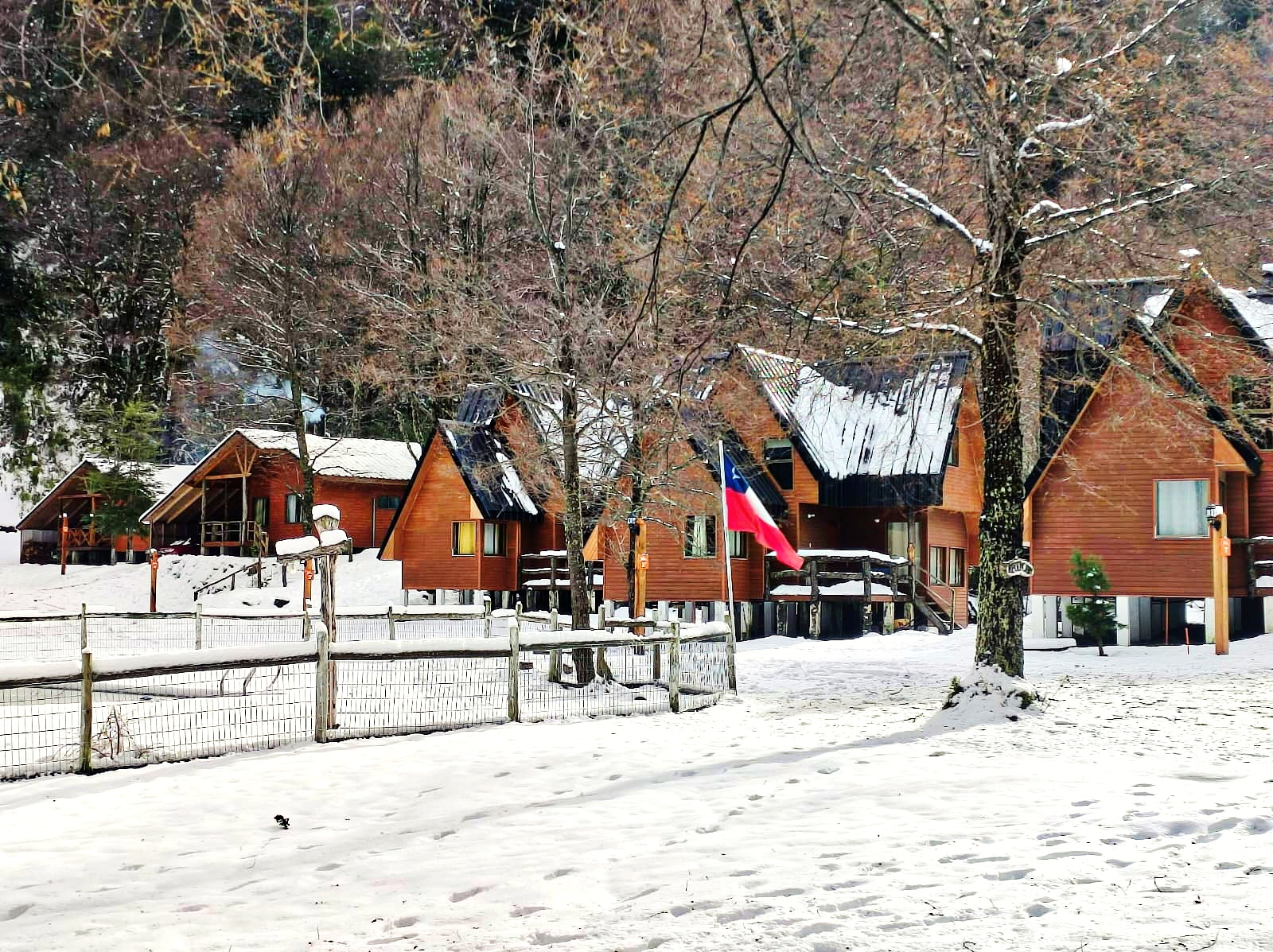 Cabañas Nevisca