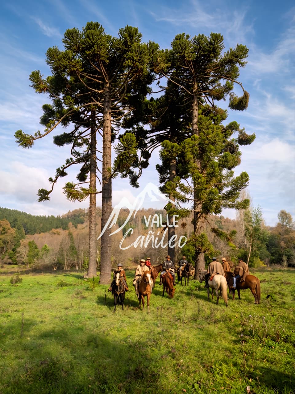 Valle Cañileo - EquinoExperiencias