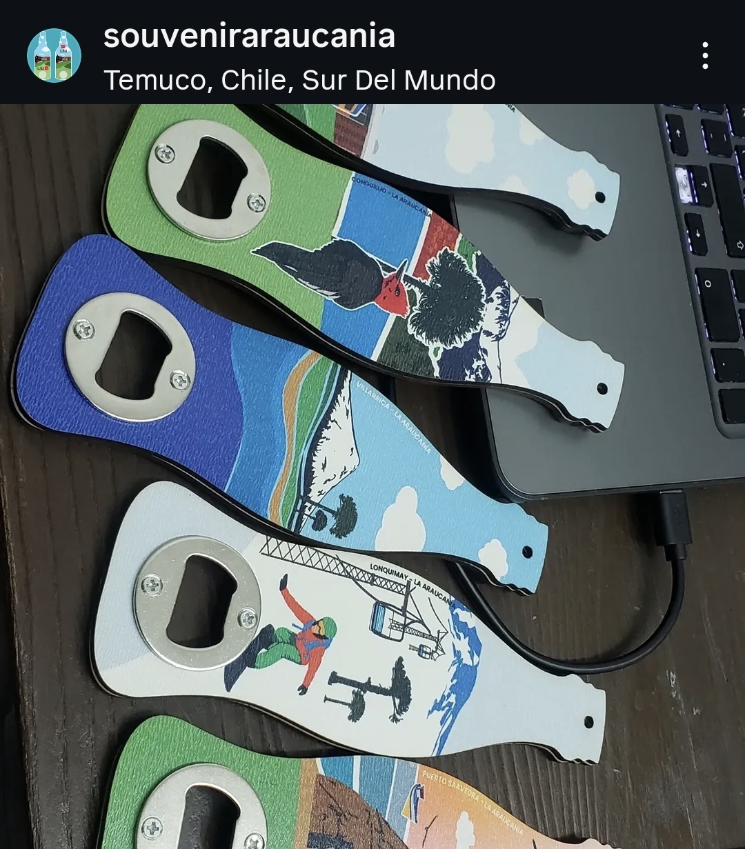 SouvenirAraucania