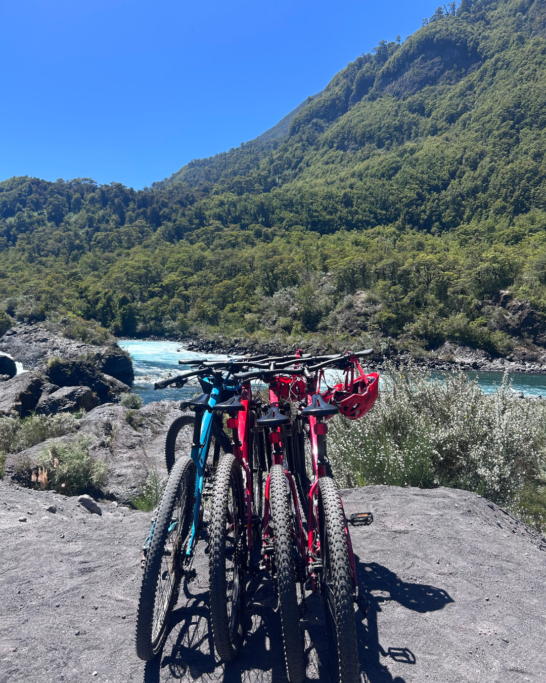 Turismo Ruta Ensenada