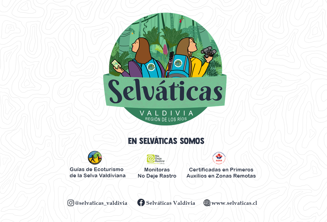 Selváticas