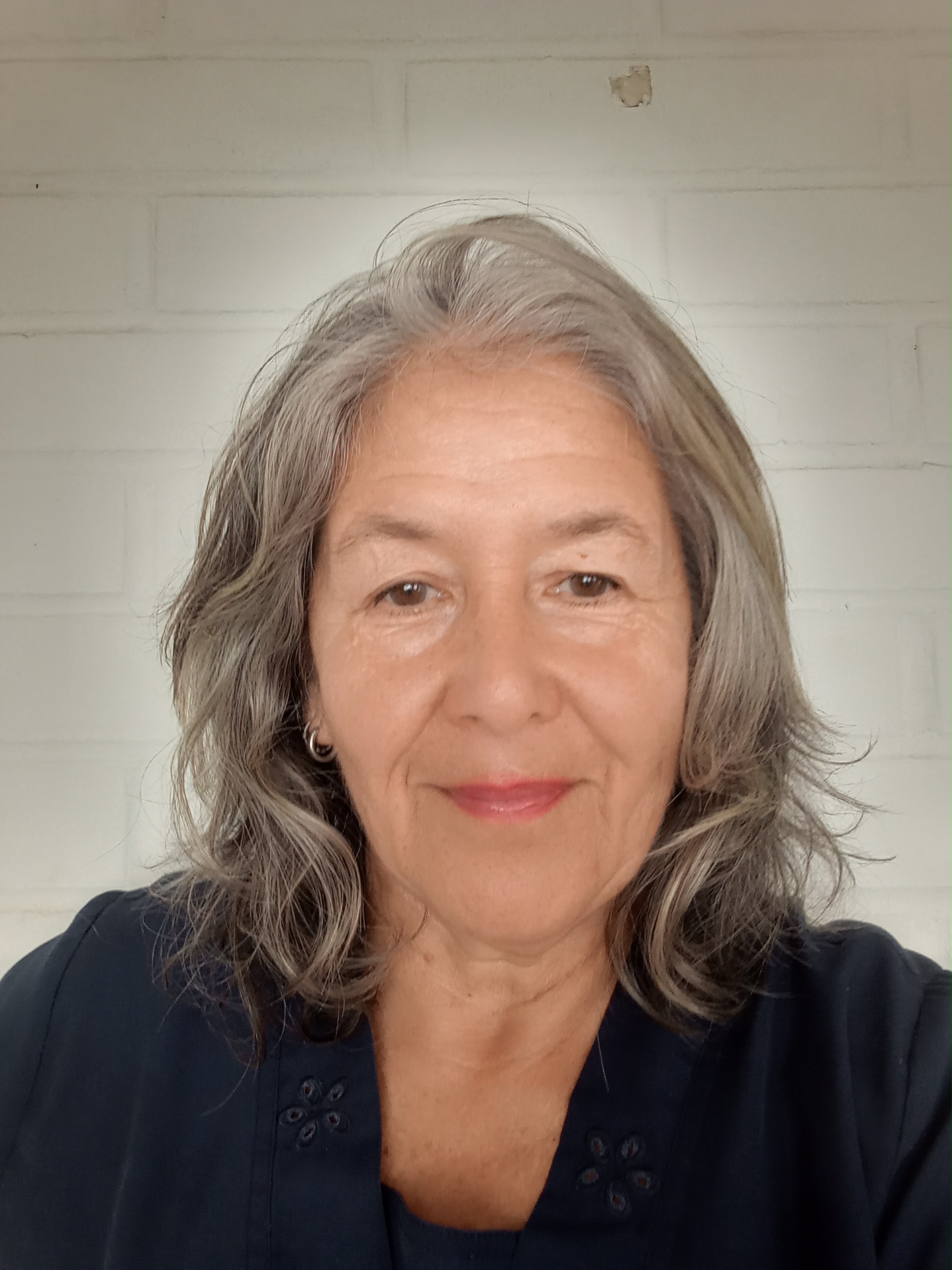 aline lobos contreras