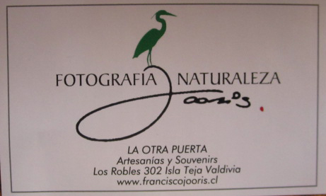 LA OTRA PUERTA