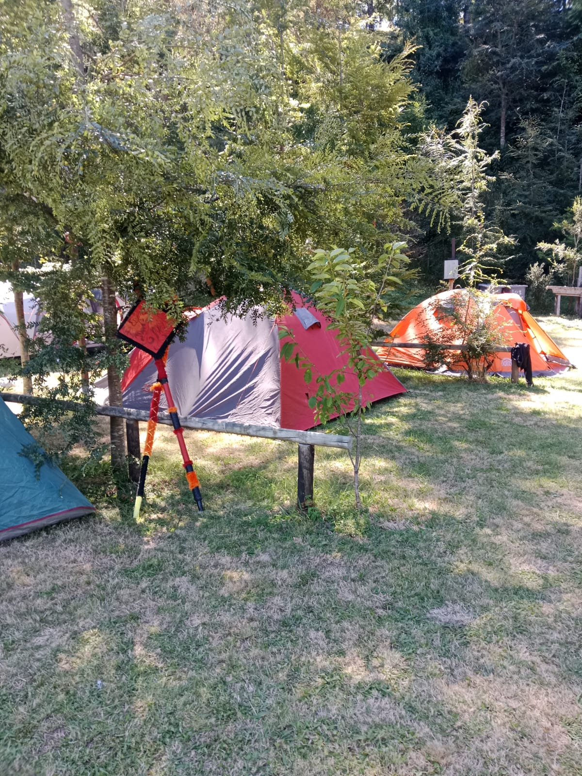 CAMPING LOS MANZANOS