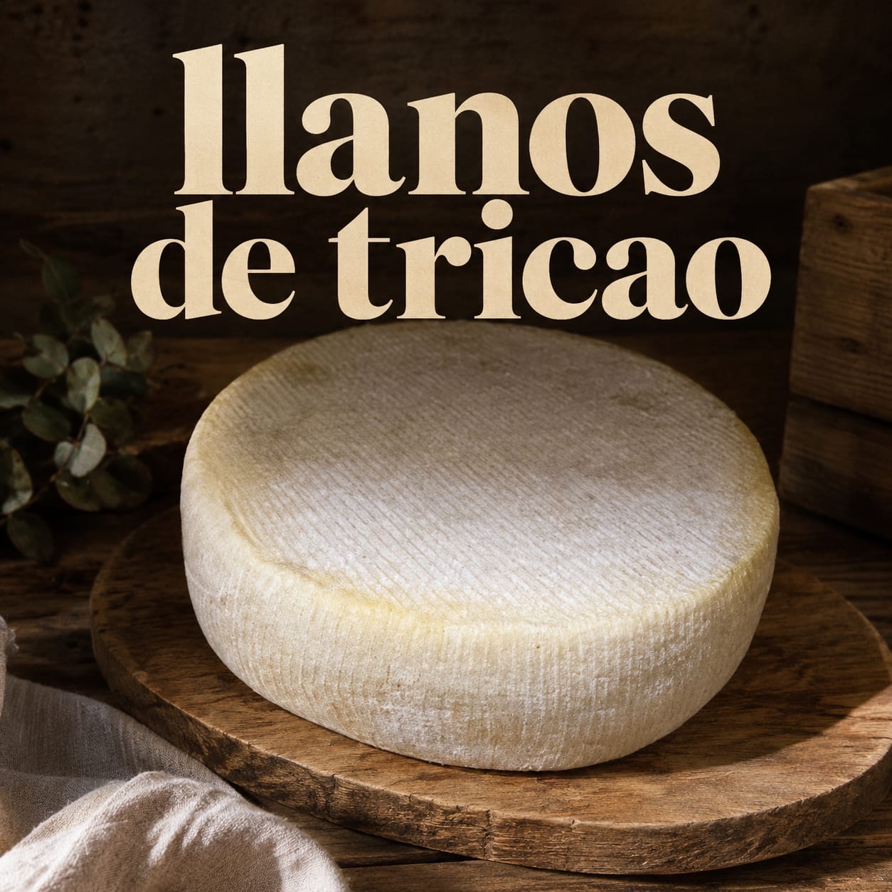 Queseria artesanal llanos de Tricao