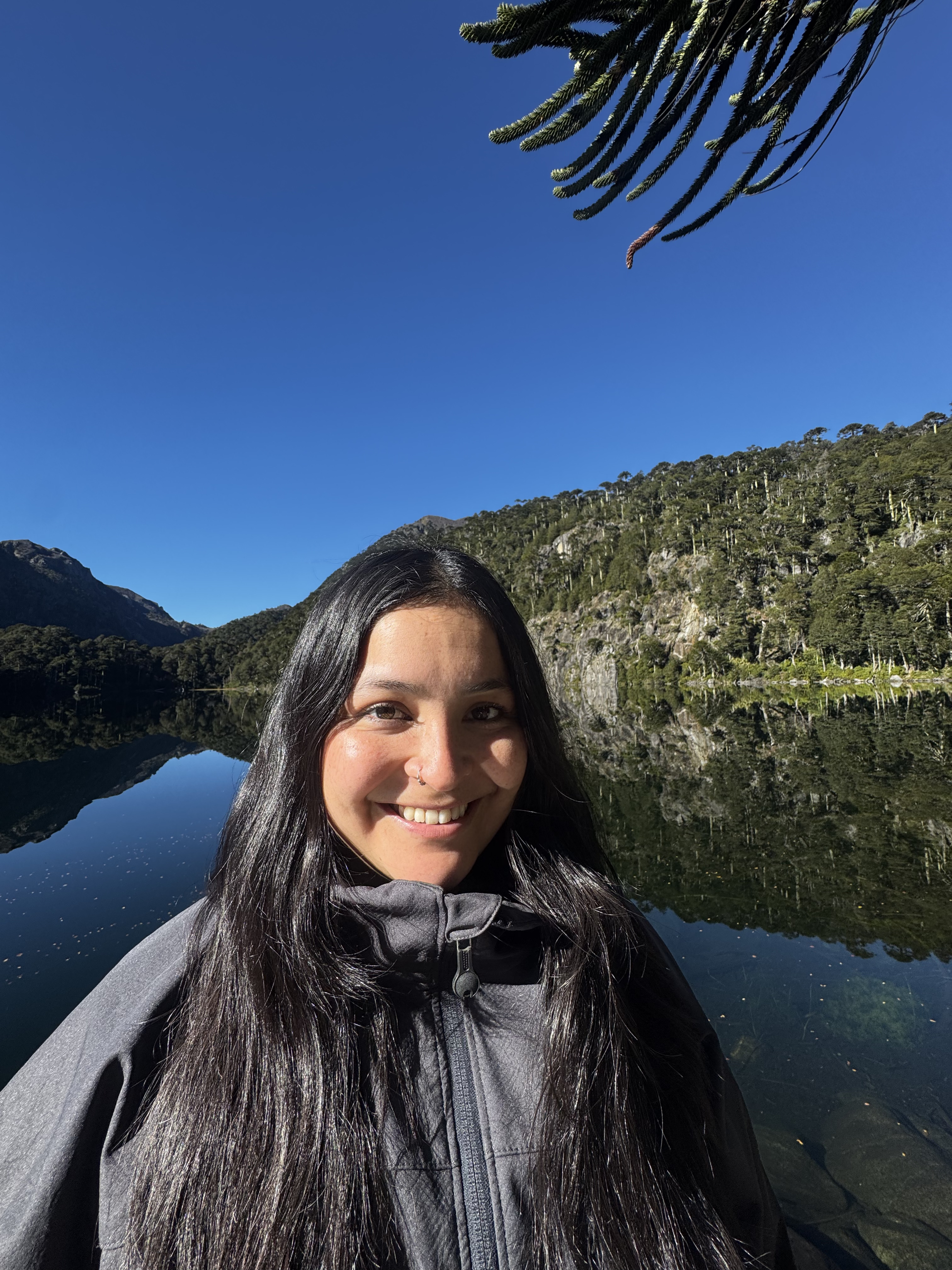 Ana Belen Vargas Altamirano