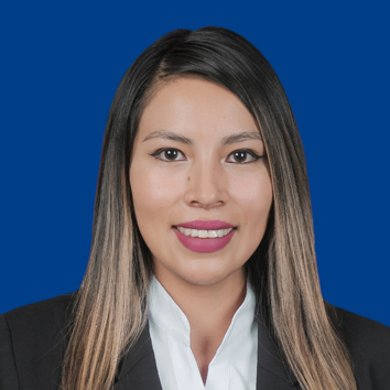 Arlett Camila Yanarico Apala