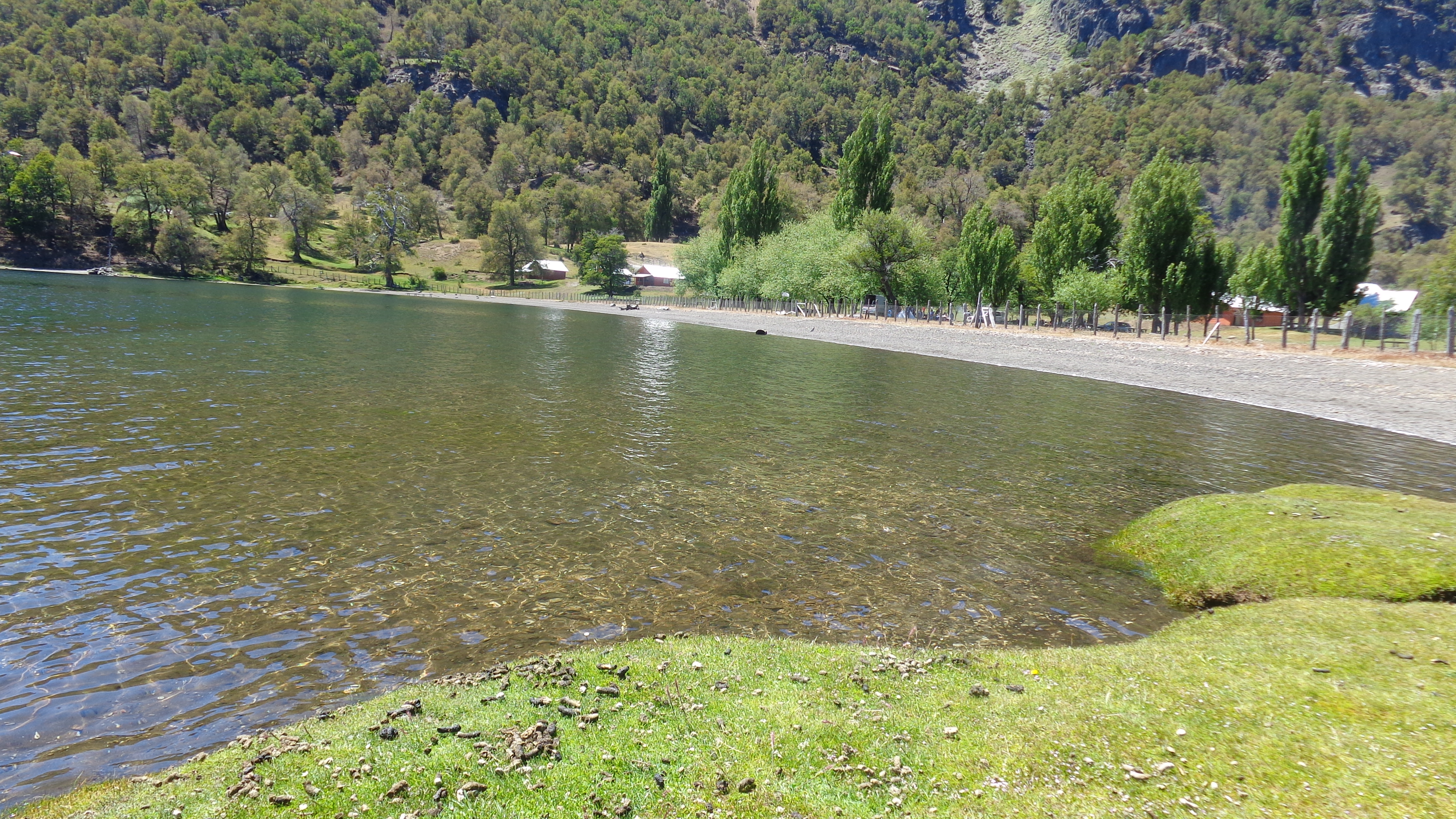 Pehuenche Mapu