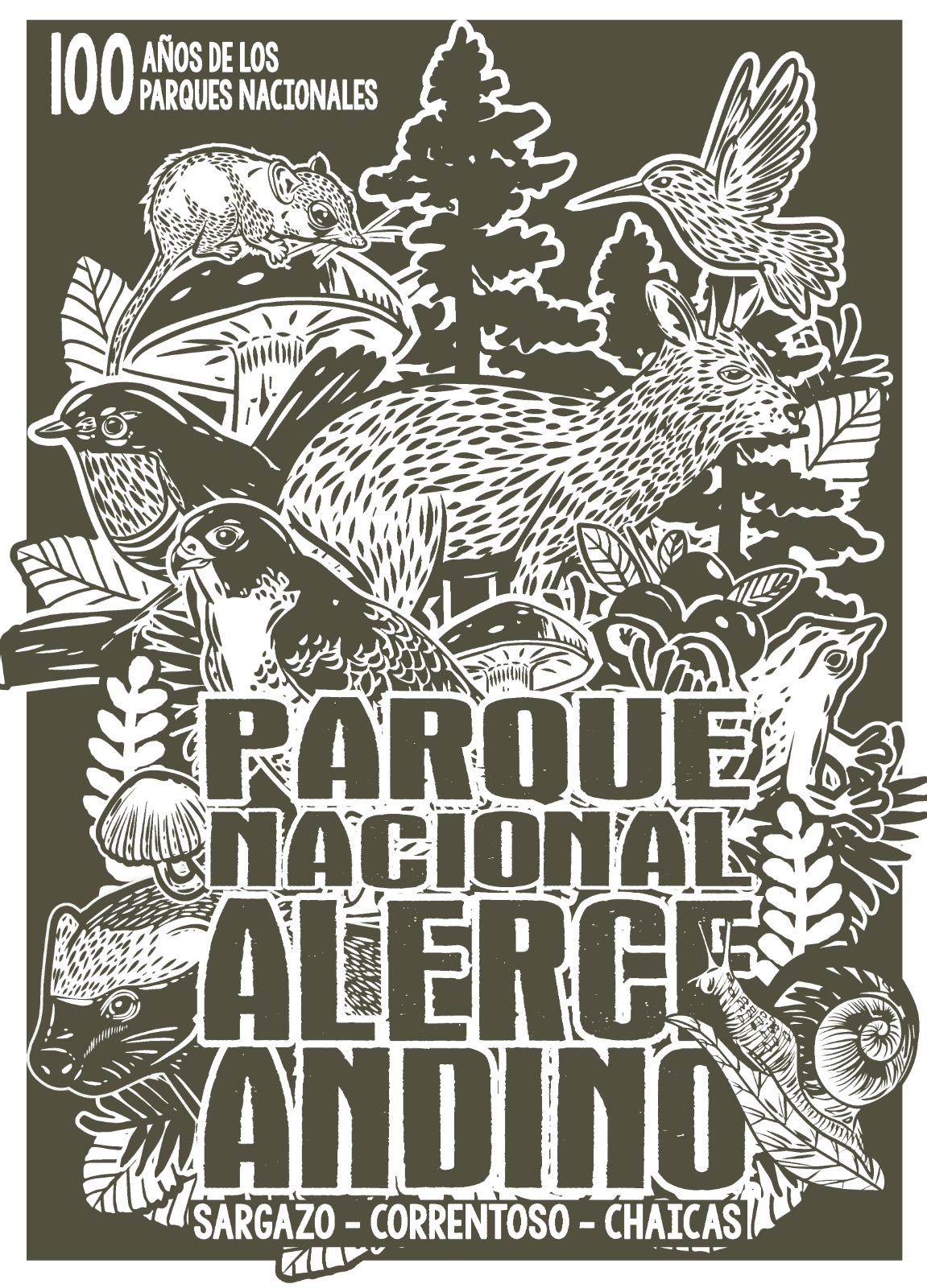 GRÁFICA ACABOSE