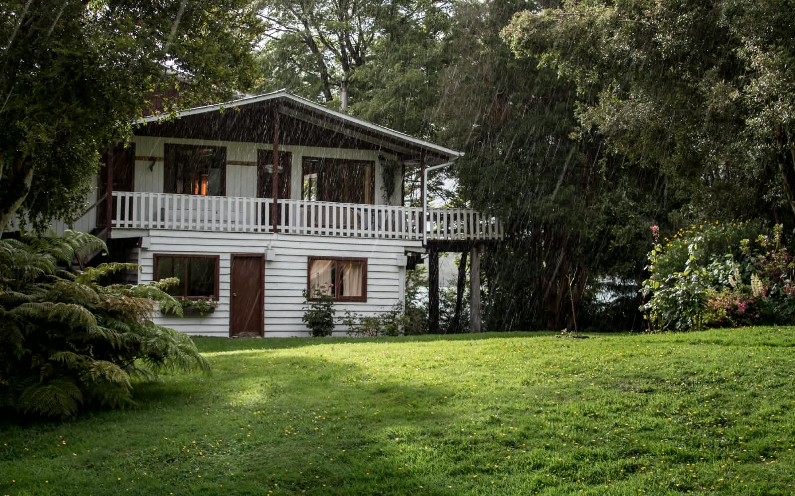 Teo's Lodge